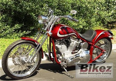 2009 American Eagle Raven photo